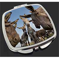 Donkeys Intrigued by Camera Make-Up Compact Mirror