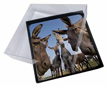 4x Donkeys Intrigued by Camera Picture Table Coasters Set in Gift Box
