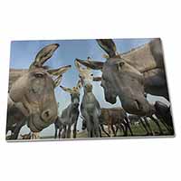 Large Glass Cutting Chopping Board Donkeys Intrigued by Camera