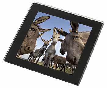 Donkeys Intrigued by Camera Black Rim High Quality Glass Coaster