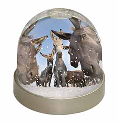 Donkeys Intrigued by Camera Snow Globe Photo Waterball