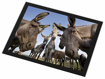 Donkeys Intrigued by Camera Black Rim High Quality Glass Placemat