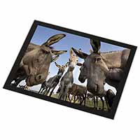 Donkeys Intrigued by Camera Black Rim High Quality Glass Placemat