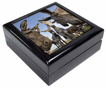 Donkeys Intrigued by Camera Keepsake/Jewellery Box