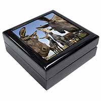 Donkeys Intrigued by Camera Keepsake/Jewellery Box