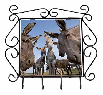 Donkeys Intrigued by Camera Wrought Iron Key Holder Hooks