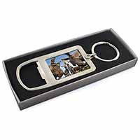 Donkeys Intrigued by Camera Chrome Metal Bottle Opener Keyring in Box