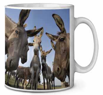 Donkeys Intrigued by Camera Ceramic 10oz Coffee Mug/Tea Cup