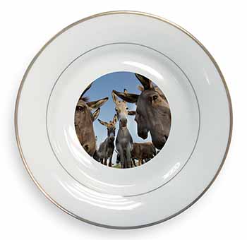 Donkeys Intrigued by Camera Gold Rim Plate Printed Full Colour in Gift Box