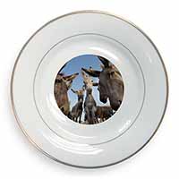 Donkeys Intrigued by Camera Gold Rim Plate Printed Full Colour in Gift Box