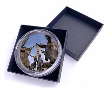 Donkeys Intrigued by Camera Glass Paperweight in Gift Box