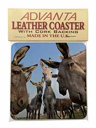 Donkeys Intrigued by Camera Single Leather Photo Coaster