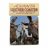 Donkeys Intrigued by Camera Single Leather Photo Coaster
