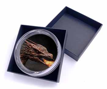 Fierce Fire Flame Mouth Dragon Glass Paperweight in Gift Box