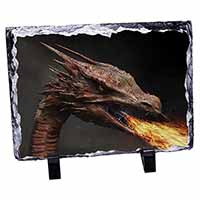 Fierce Fire Flame Mouth Dragon, Stunning Photo Slate