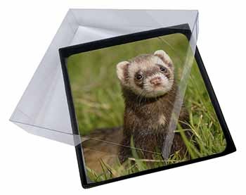 4x Polecat Ferret Picture Table Coasters Set in Gift Box