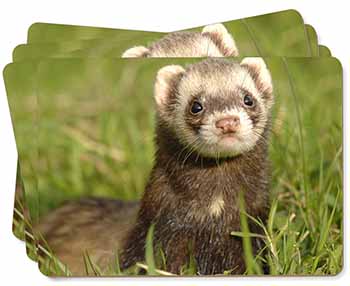 Polecat Ferret Picture Placemats in Gift Box