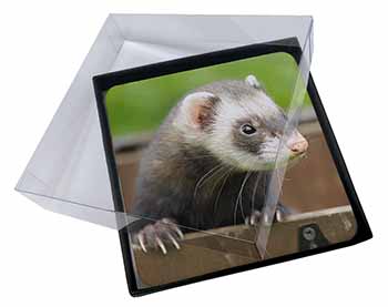 4x Ferret Print Picture Table Coasters Set in Gift Box