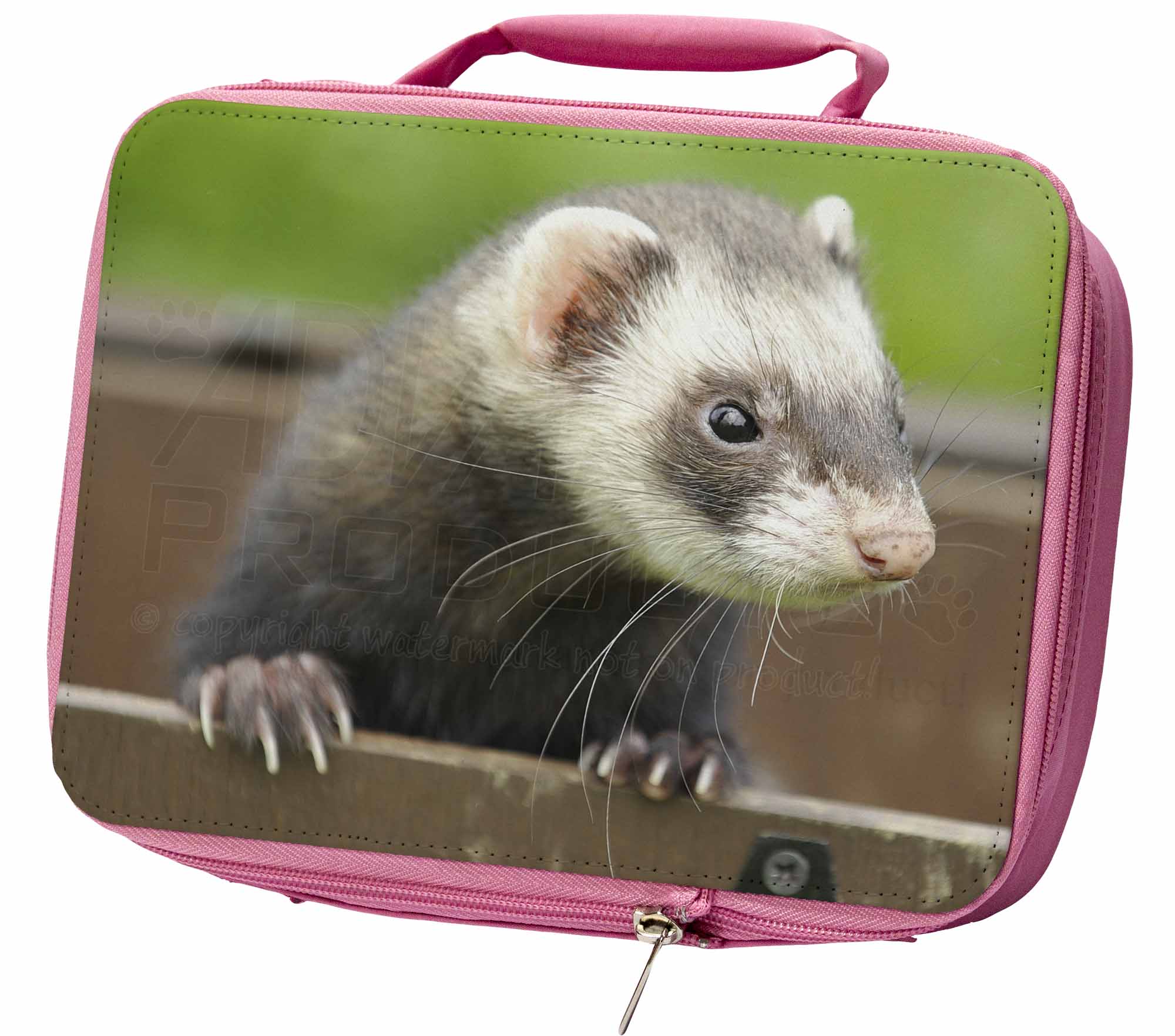 teddy bear ferret