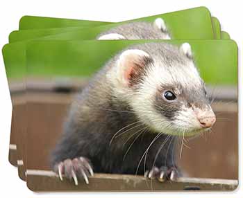 Ferret Print Picture Placemats in Gift Box