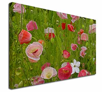 Poppies in Poppy Field Canvas X-Large 30"x20" Wall Art Print