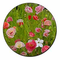 Poppies in Poppy Field Fridge Magnet Printed Full Colour