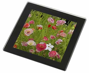 Poppies in Poppy Field Black Rim High Quality Glass Coaster