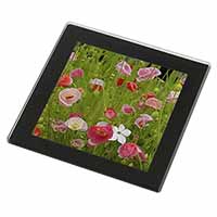 Poppies in Poppy Field Black Rim High Quality Glass Coaster