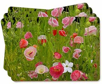 Poppies in Poppy Field Picture Placemats in Gift Box