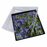 4x Bluebells in the Wood Picture Table Coasters Set in Gift Box
