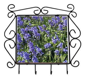 Bluebells in the Wood Wrought Iron Key Holder Hooks