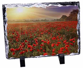 Poppies, Poppy Field at Sunset, Stunning Photo Slate