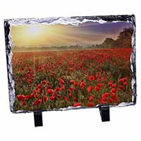 Poppies, Poppy Field at Sunset, Stunning Photo Slate