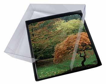 4x Autumn Trees Picture Table Coasters Set in Gift Box