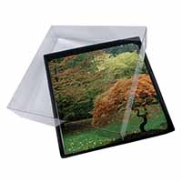 4x Autumn Trees Picture Table Coasters Set in Gift Box