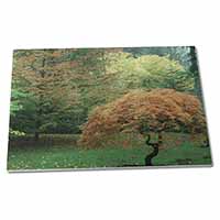Autumn Trees Extra Large Toughened Glass Cutting, Chopping Board