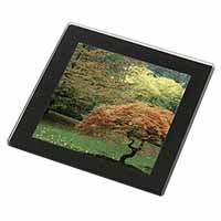 Autumn Trees Black Rim Glass Coaster Animal Breed Gift