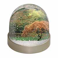Autumn Trees Photo Snow Globe Waterball Stocking Filler Gift
