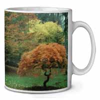Autumn Trees Coffee/Tea Mug Christmas Stocking Filler Gift Idea