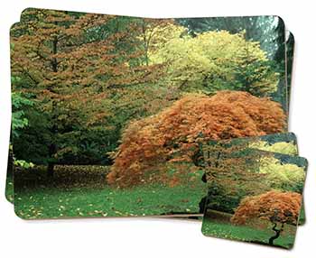 Autumn Trees Twin 2x Placemats+2x Coasters Set in Gift Box