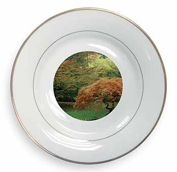 Autumn Trees Gold Rim Plate in Gift Box Christmas Present