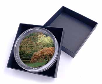 Autumn Trees Glass Paperweight in Gift Box Christmas Present
