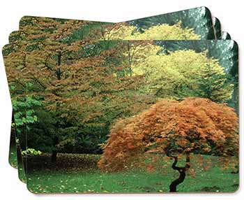 Autumn Trees Picture Placemats in Gift Box