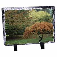 Autumn Trees Photo Slate Christmas Gift Ornament