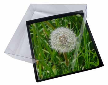 4x Dandelion Seeds Picture Table Coasters Set in Gift Box