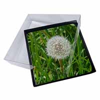 4x Dandelion Seeds Picture Table Coasters Set in Gift Box