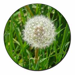 Dandelion Seeds Fridge Magnet Stocking Filler Christmas Gift