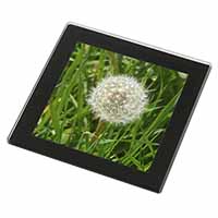 Dandelion Seeds Black Rim Glass Coaster Animal Breed Gift