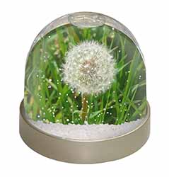 Dandelion Seeds Photo Snow Globe Waterball Stocking Filler Gift