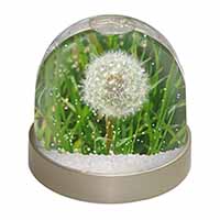 Dandelion Seeds Photo Snow Globe Waterball Stocking Filler Gift